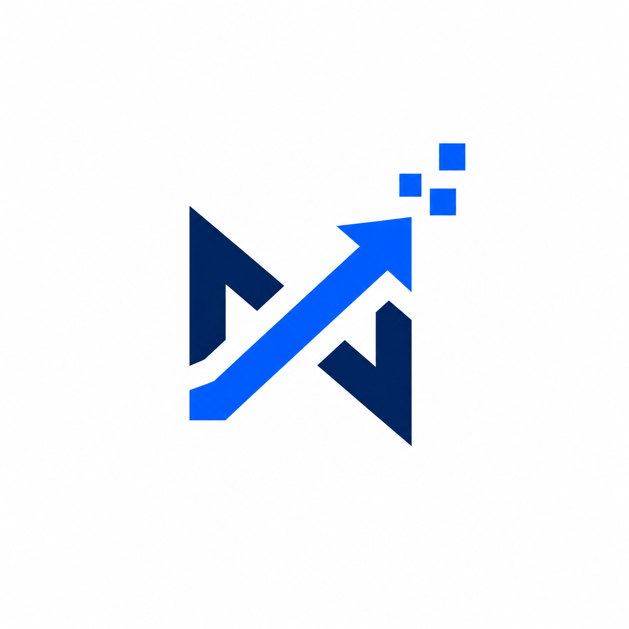 Northern Digital Services